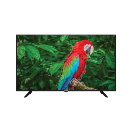 טלוויזיה חכמה 55 אינץ' QLED 4K מערכת הפעלה WebOS