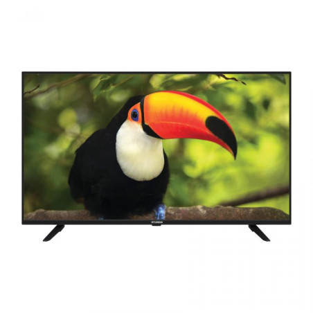 טלוויזיה חכמה 55 אינץ' 4K מערכת הפעלה WebOS