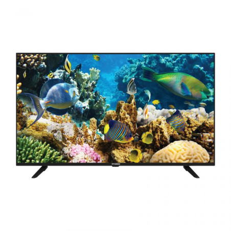 טלוויזיה חכמה 98 אינץ' 4K מערכת הפעלה WebOS