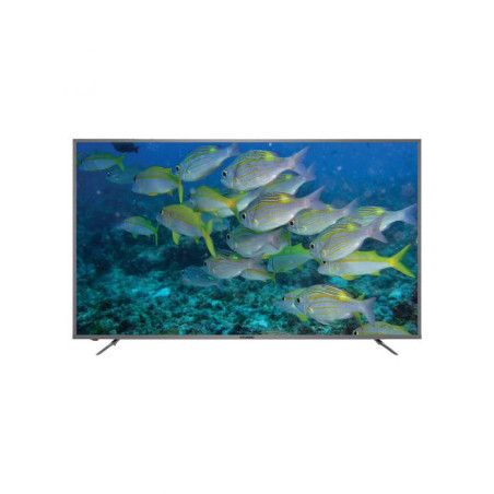 טלוויזיה חכמה 75 אינץ' 4K מערכת הפעלה WebOS 22