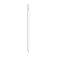 Apple Pencil Pro 'עט טאץ